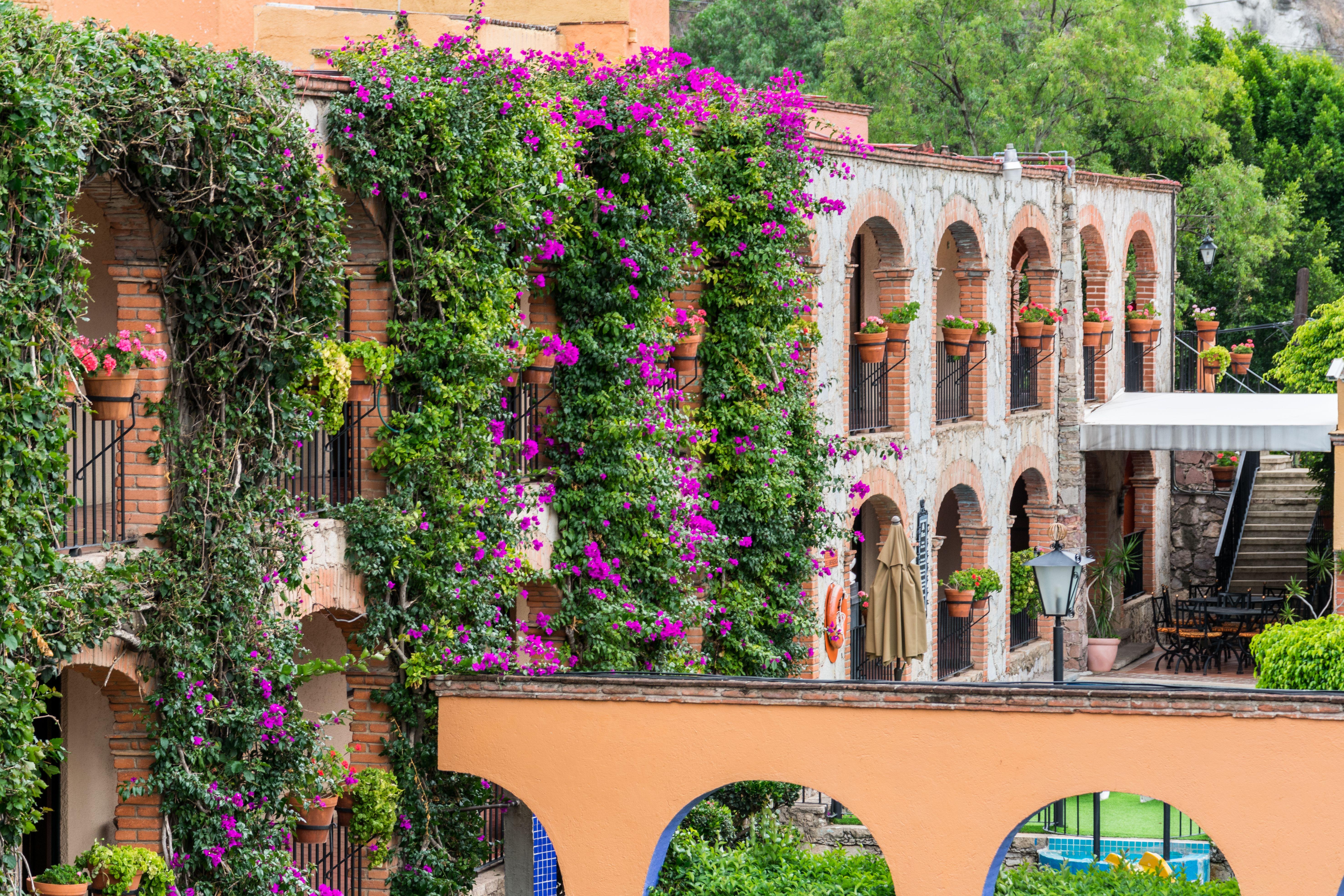 Hotel Abadia Plaza Guanajuato Esterno foto
