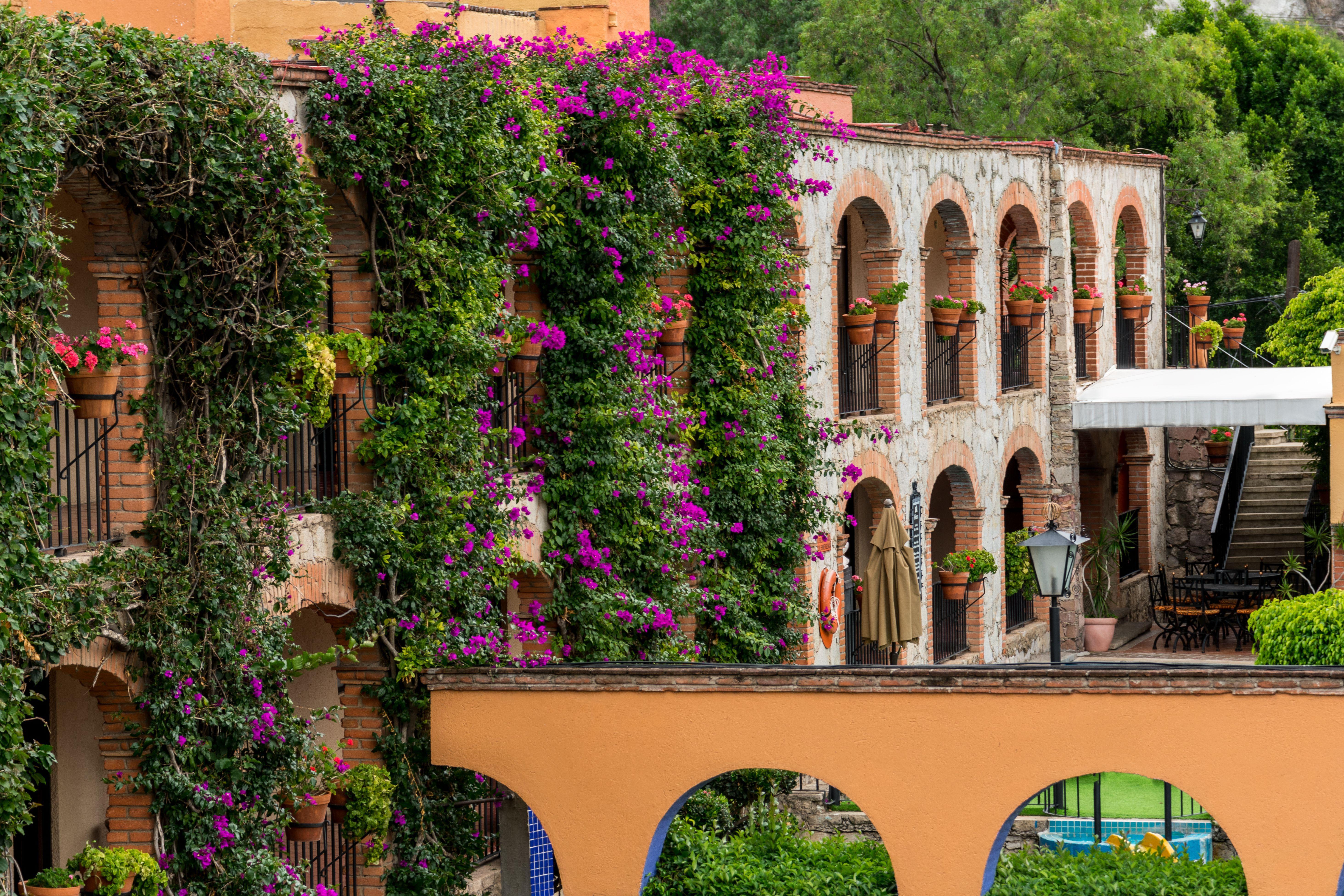 Hotel Abadia Plaza Guanajuato Esterno foto